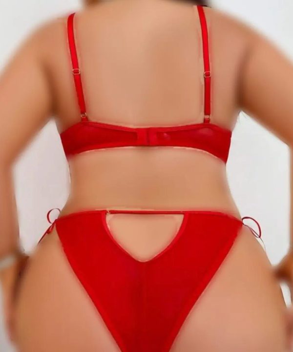 بادی قرمز سایز بزرگ-لباس خواب فانتزی سایز بزرگ-لباس خواب سایز بزرگ دنیرا-71945-sexy red lace body lingerie